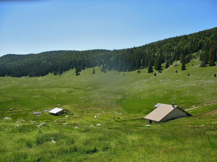 Bergerie de Darbounouse