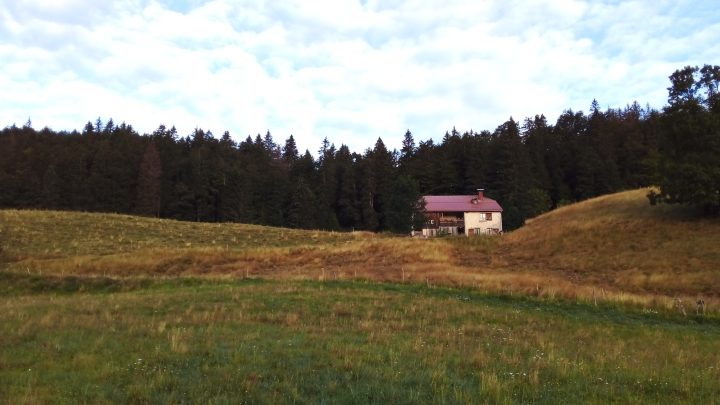 Chez Verguet (chez le Gris)