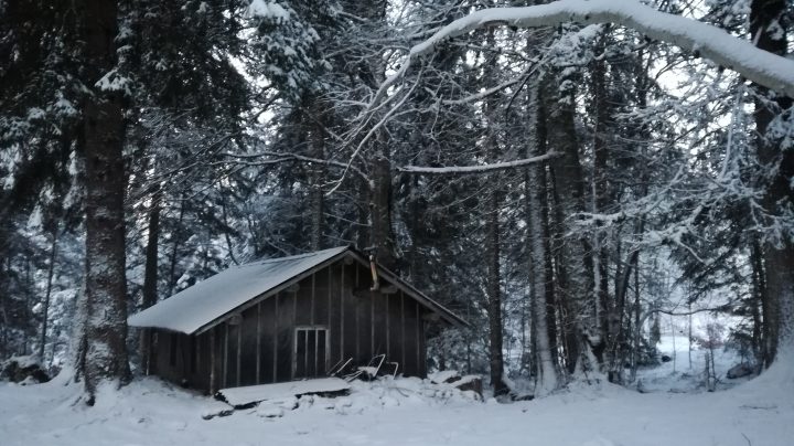 Abri forestier de Girieux