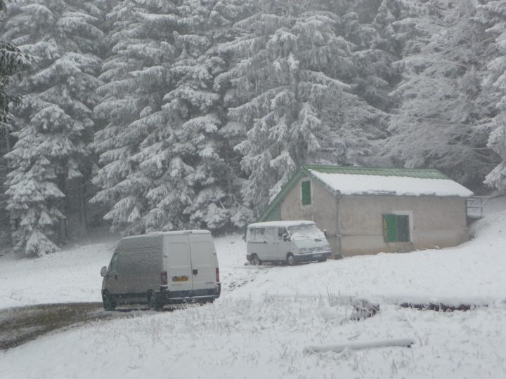 Baraque Forestière du Plainet