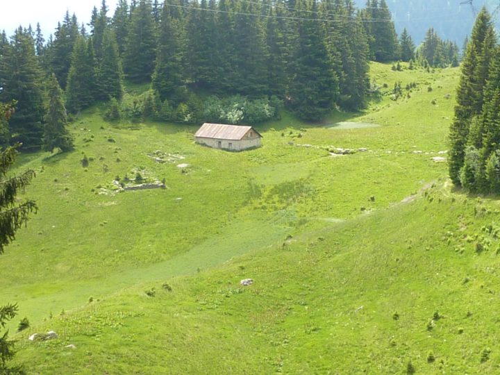 Chalet de la montagne-d'en-haut