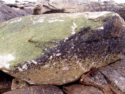 Abri de l'île d'Iock