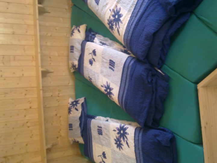Cabane des Audannes
