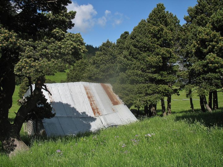 Ancienne cabane de Jiboui