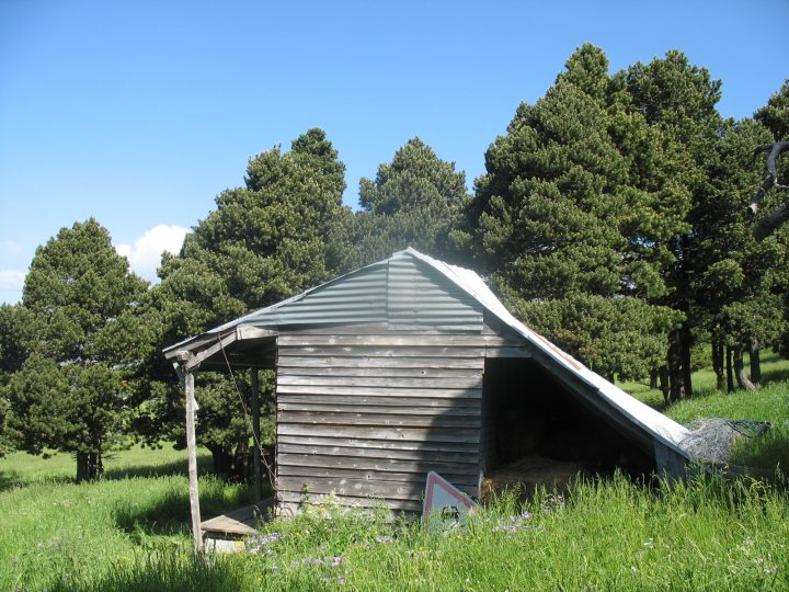 Ancienne cabane de Jiboui