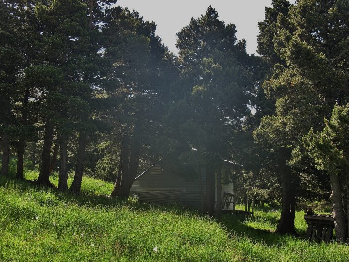 Ancienne cabane de Jiboui