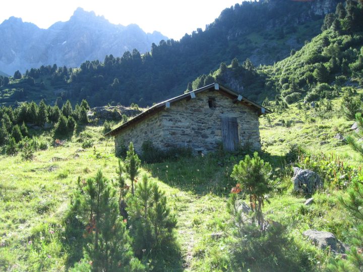 Chalet du Fruit