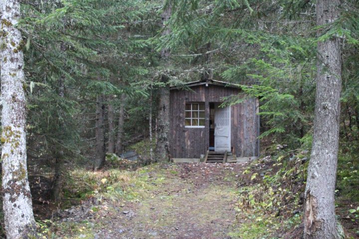 Gîte des Charançons