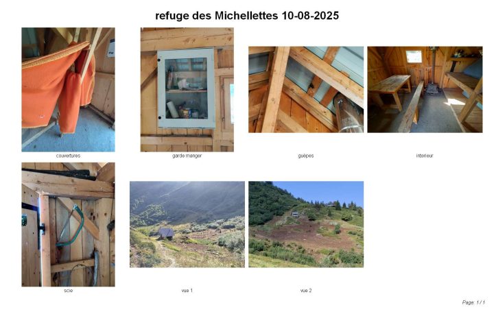 Les Michellettes