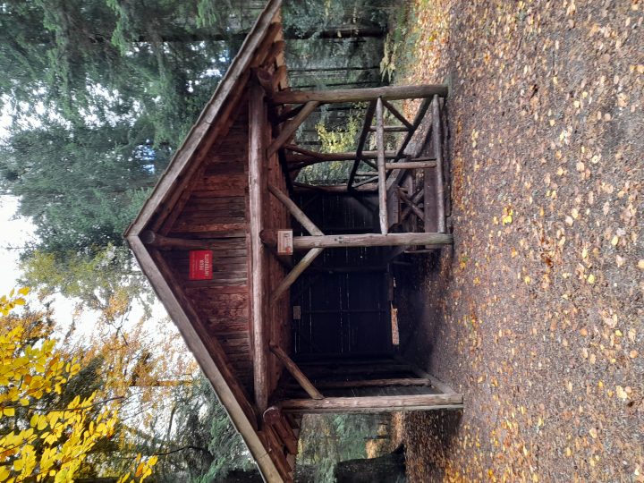 Abri du Birkenfels