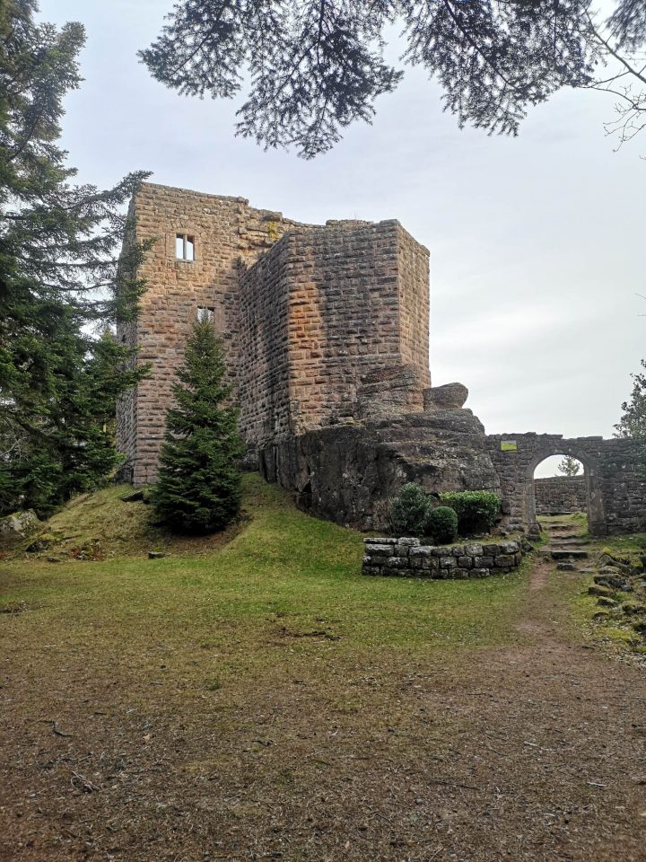 Abri du Birkenfels