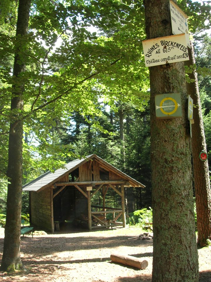 Abri du Birkenfels