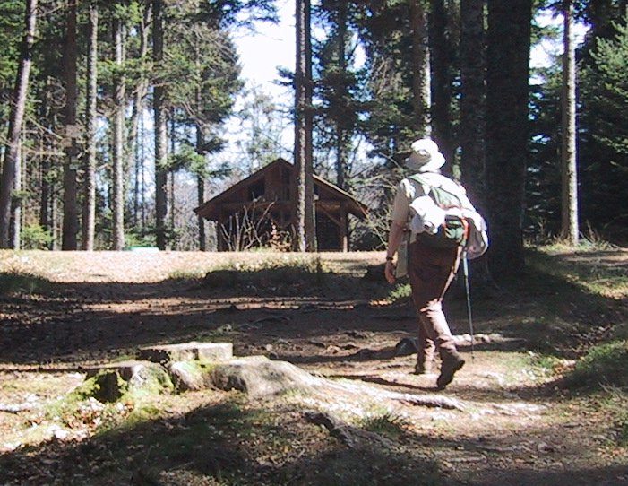 Abri du Birkenfels