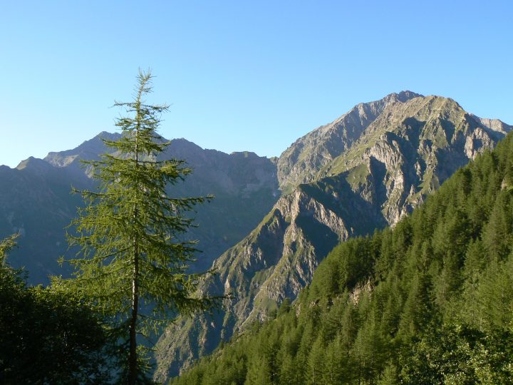 Cabane de la Combe Oursière
