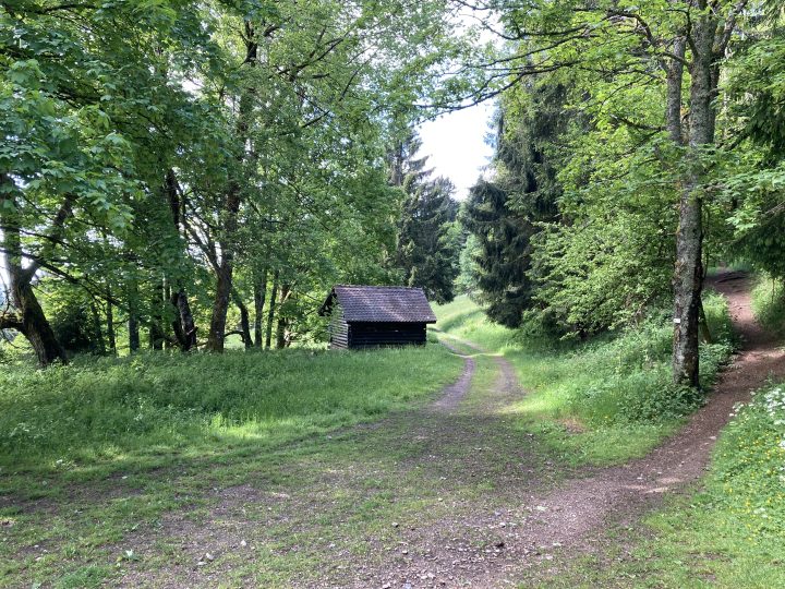 La vieille Métairie (ou abri Burger)
