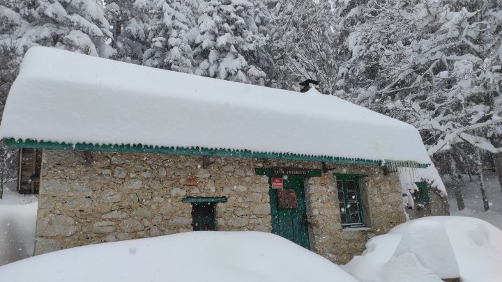 Baraque forestière de Pré Valet
