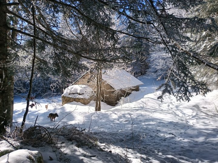 Baraque forestière de Pré Valet