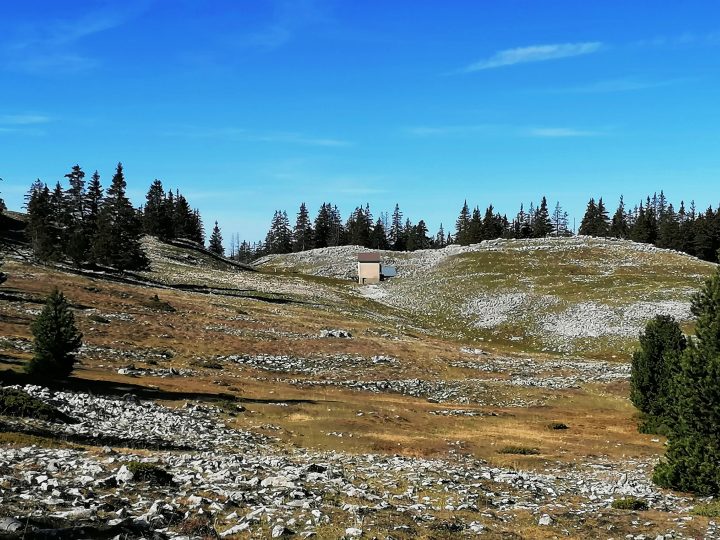 Nouvelle Jasse de la Chau