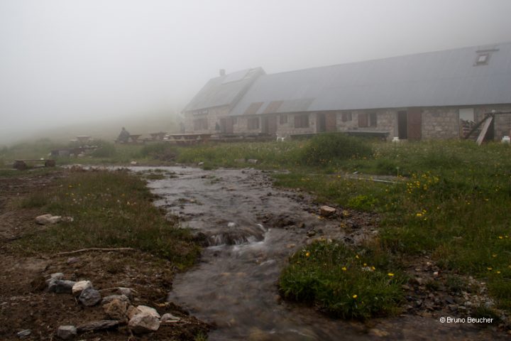 Refuge de Longon (Vacherie de Roure)