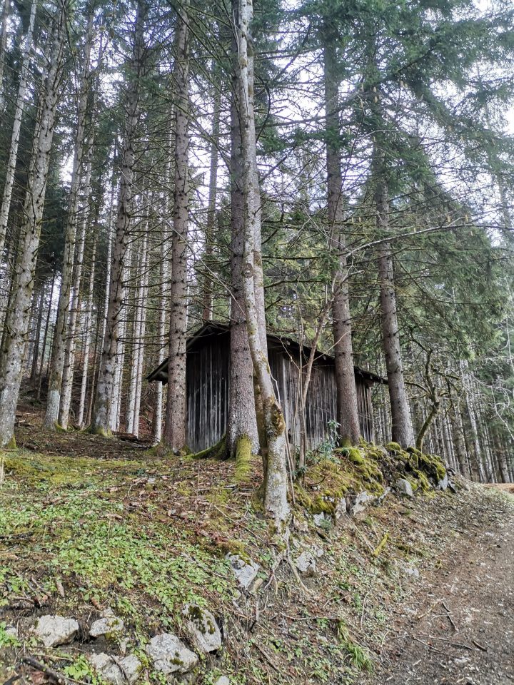 Cabane au dessus de Planfay