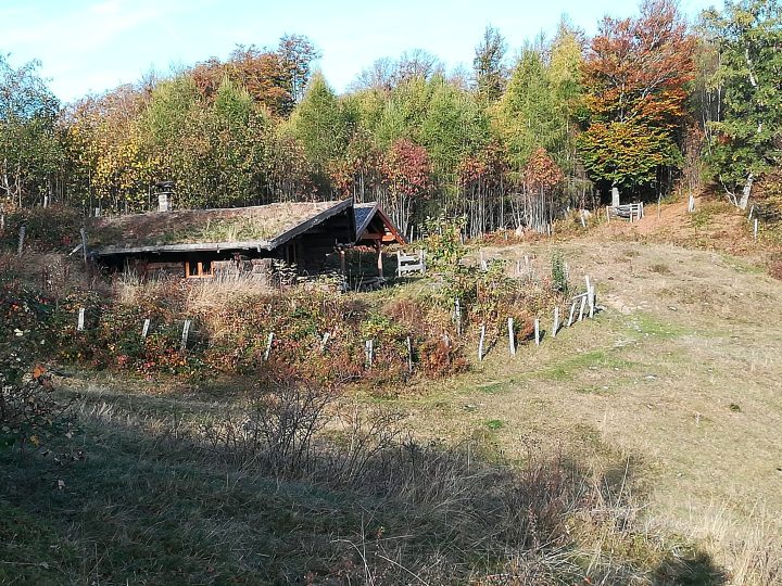 Graber Breitenstein (ou Sumpfenkopf)