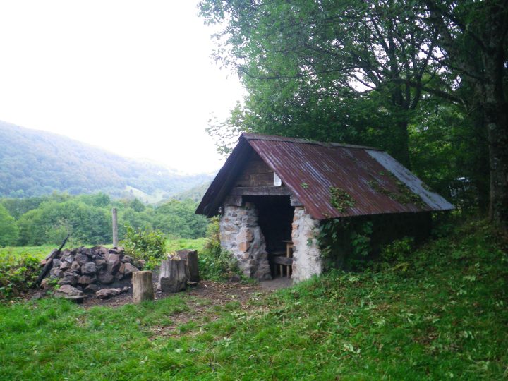 Villa Puce (ou Kuhlbrunnenwald)