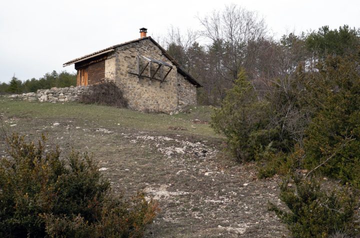 Gîte forestier des Blâches