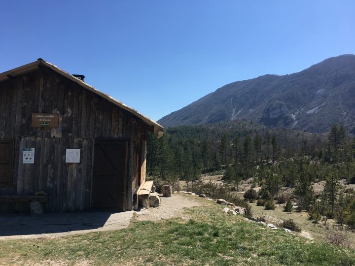 Gîte forestier des Blâches