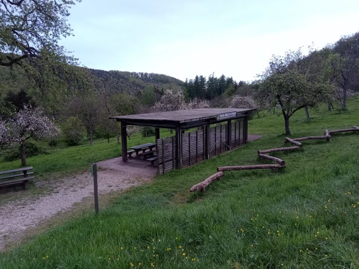 Abris du Fleckenstein