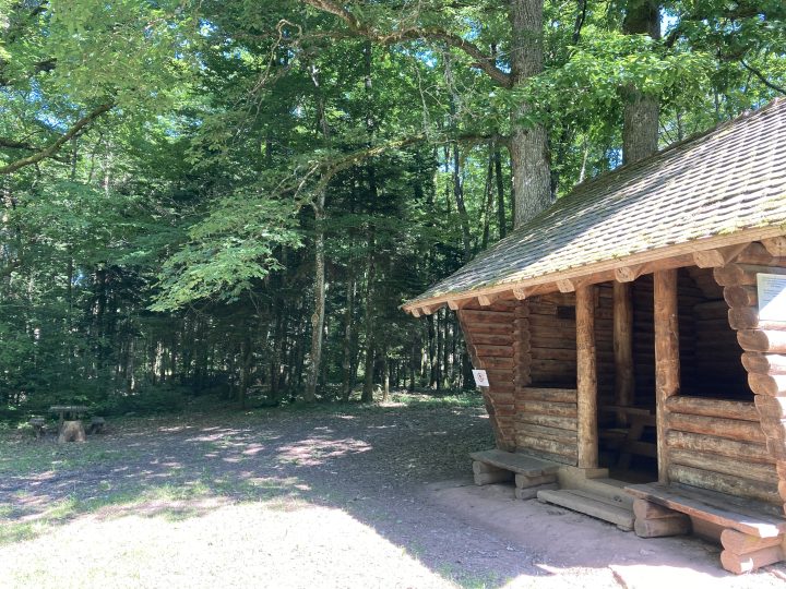 Abri du banc du forestier
