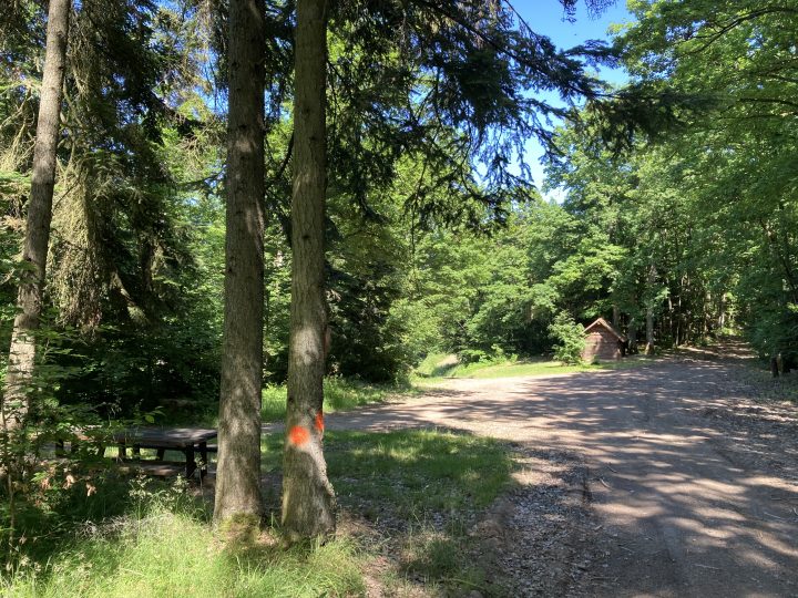 Abri du banc du forestier