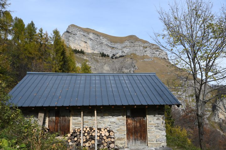 Chalets Forestiers de la Balme