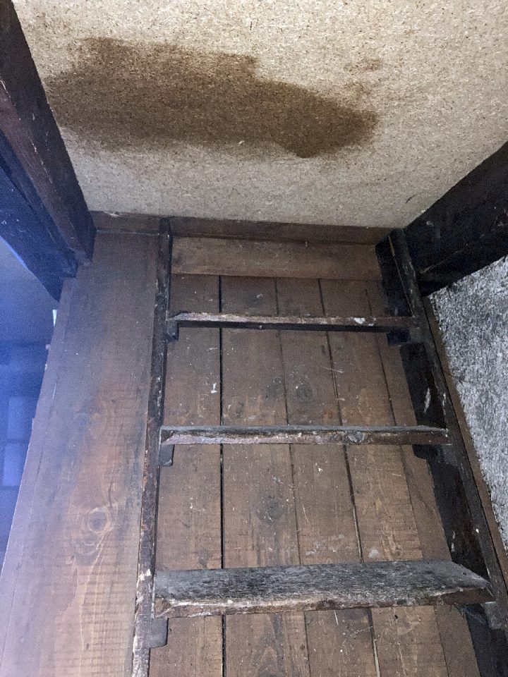 Chalets Forestiers de la Balme