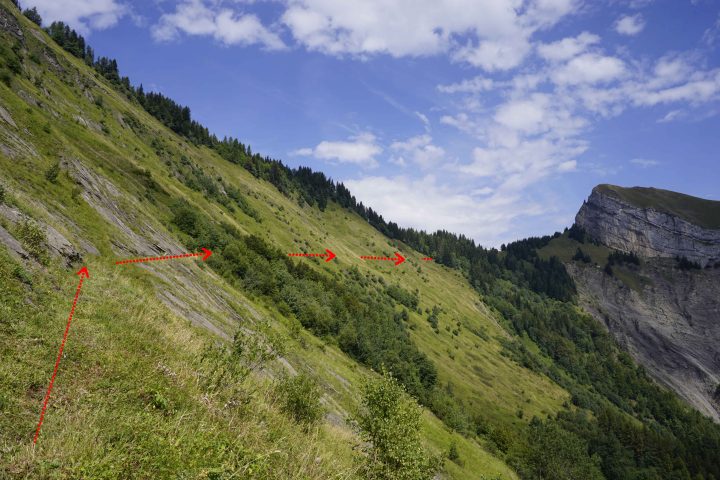 Chalets Forestiers de la Balme