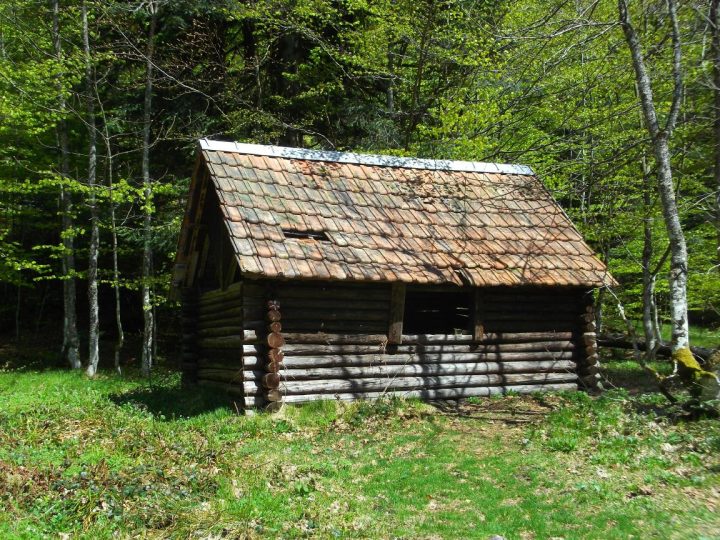Abri forestier de l'etang du petit haut