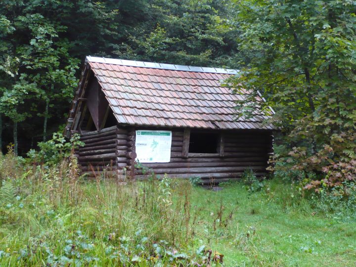 Abri forestier de l'etang du petit haut