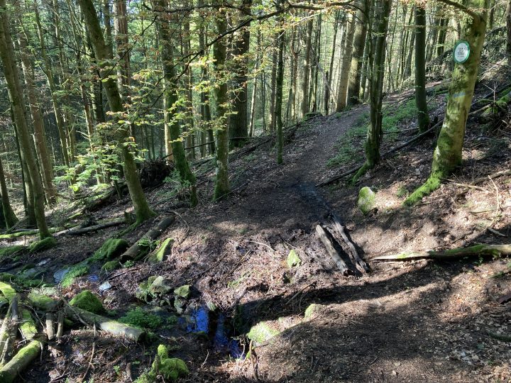 Abri du Neuntelstein