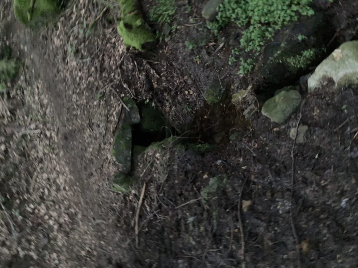 Abri du Neuntelstein