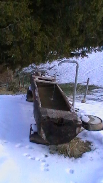 Le Bivouac