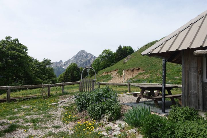 La Sarve