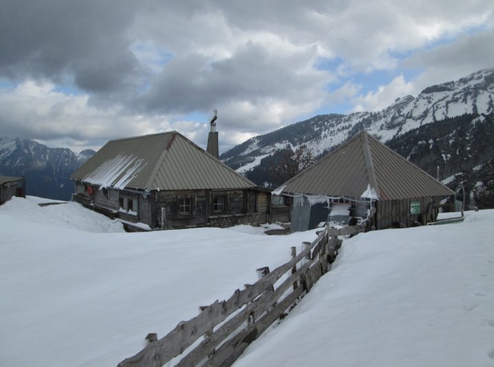 La Sarve
