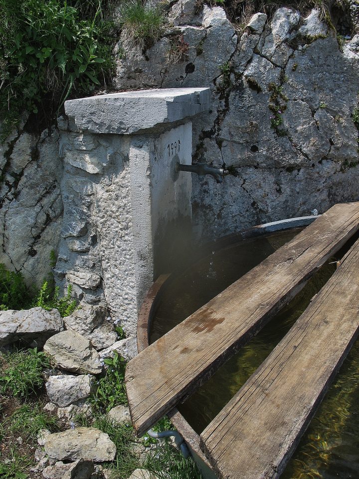 La Sarve