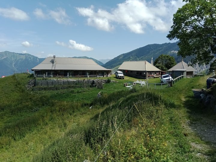 La Sarve
