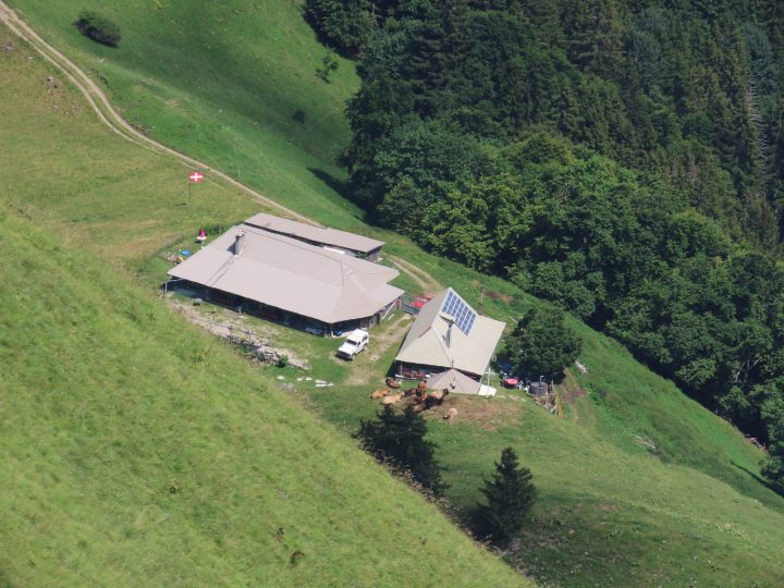 La Sarve