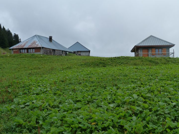 Chalets de l'Eau Froide