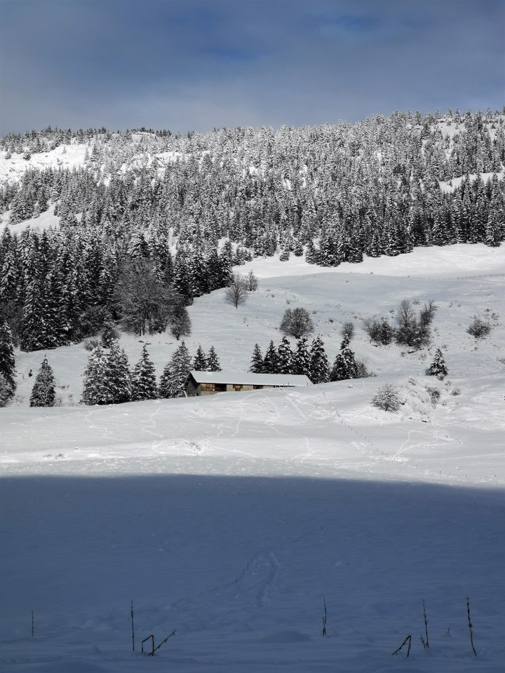 Chalet du Plan (de Champ Laitier)