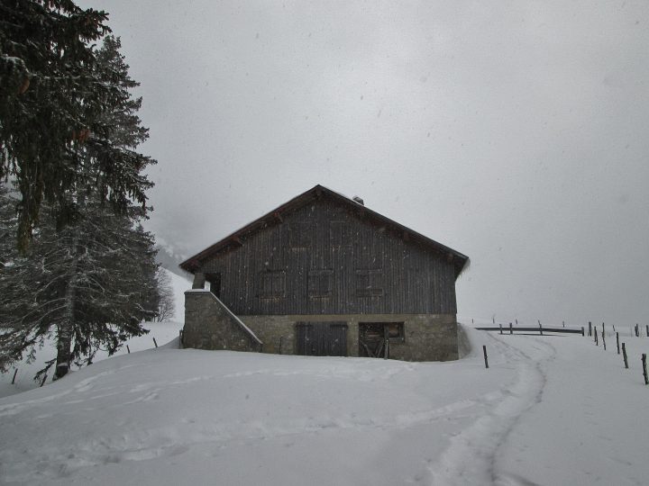 Chalet du Plan (de Champ Laitier)
