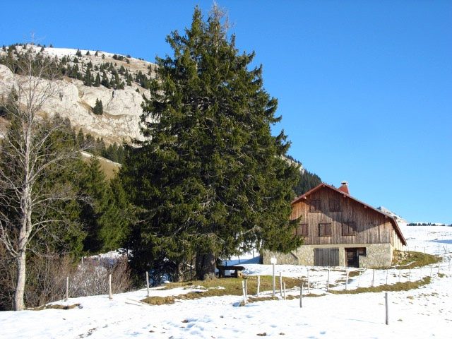 Chalet du Plan (de Champ Laitier)