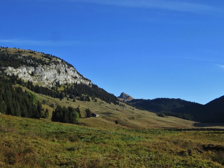 Chalet du Plan (de Champ Laitier)