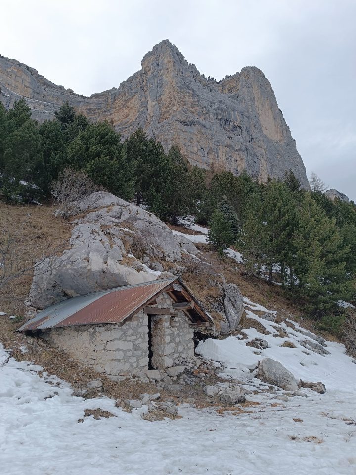 Cabane du berger